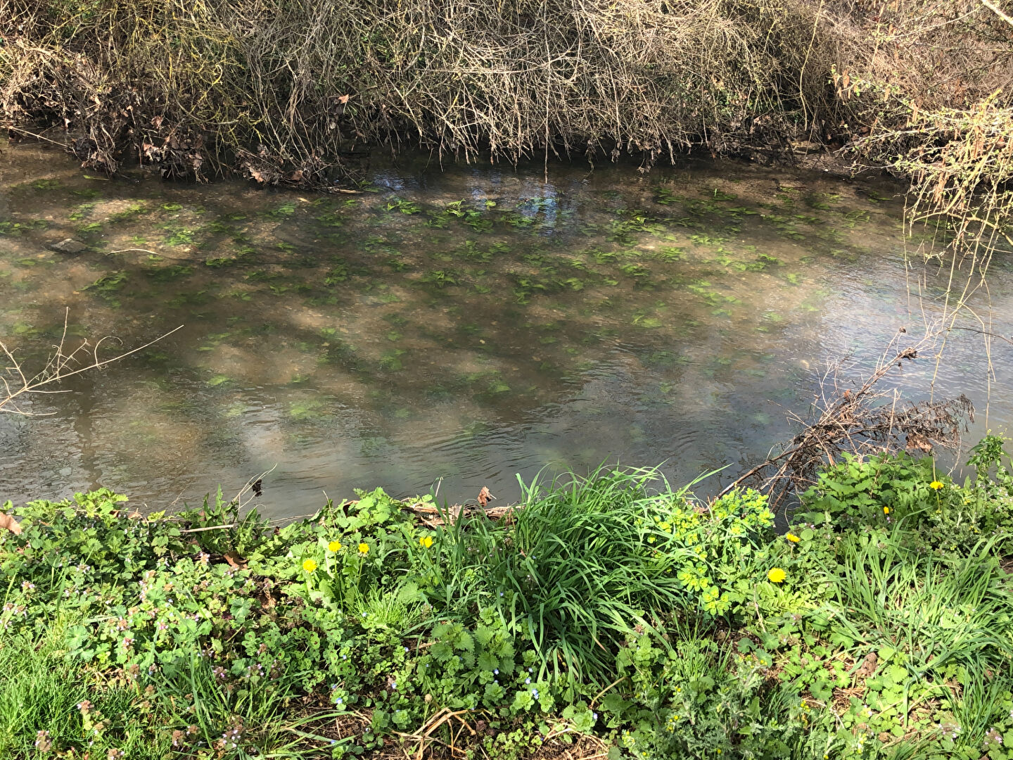 Terrain Lhommaize 414 m2  Ambiance Bucolique à 20 min de POITIERS