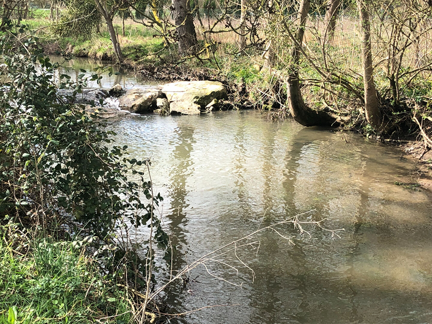 Photo Terrain Lhommaize 414 m2  Ambiance Bucolique à 20 min de POITIERS image 2/3