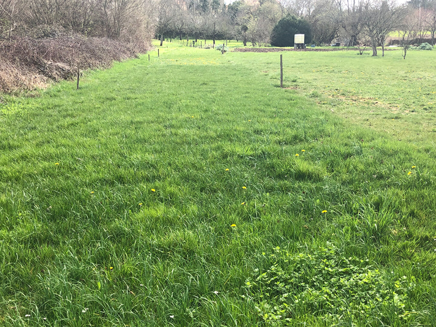 Photo Terrain Lhommaize 414 m2  Ambiance Bucolique à 20 min de POITIERS image 3/3