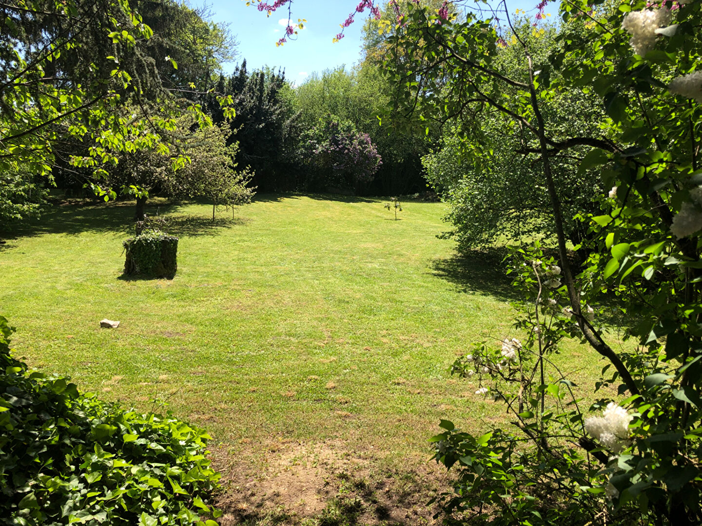 Photo CIVAUX ! LA CHARMEUSE ! pour les amoureux de l'ancien image 4/6