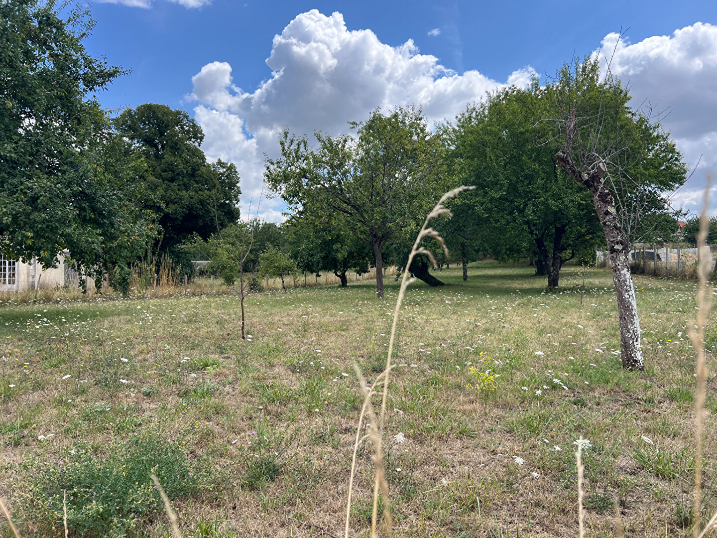Terrain Lhommaize 1849 m2
