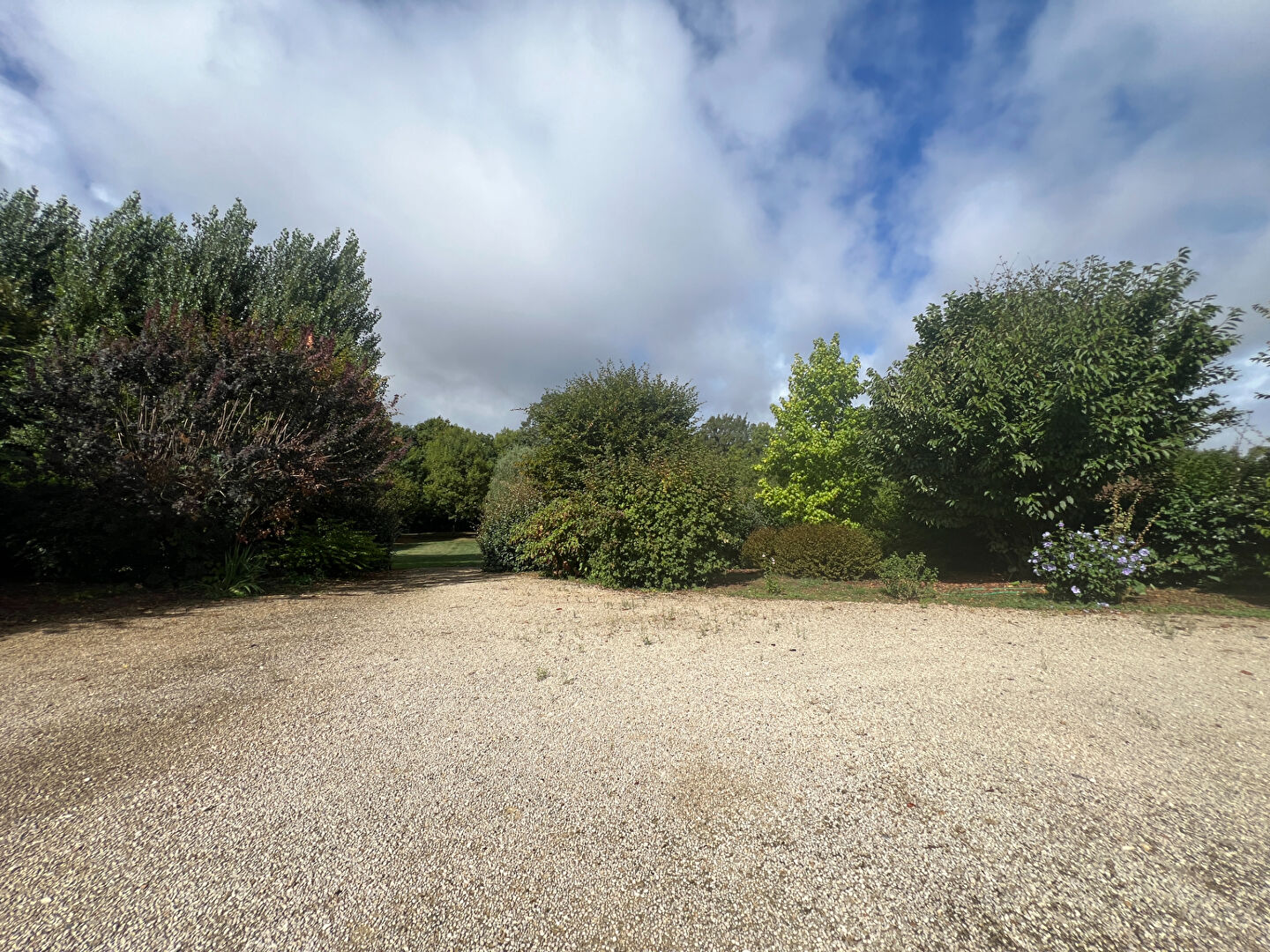 Photo CONTEMPORAINE  A 25 MIN POITIERS/ 5 MIN DE CIVAUX image 2/6