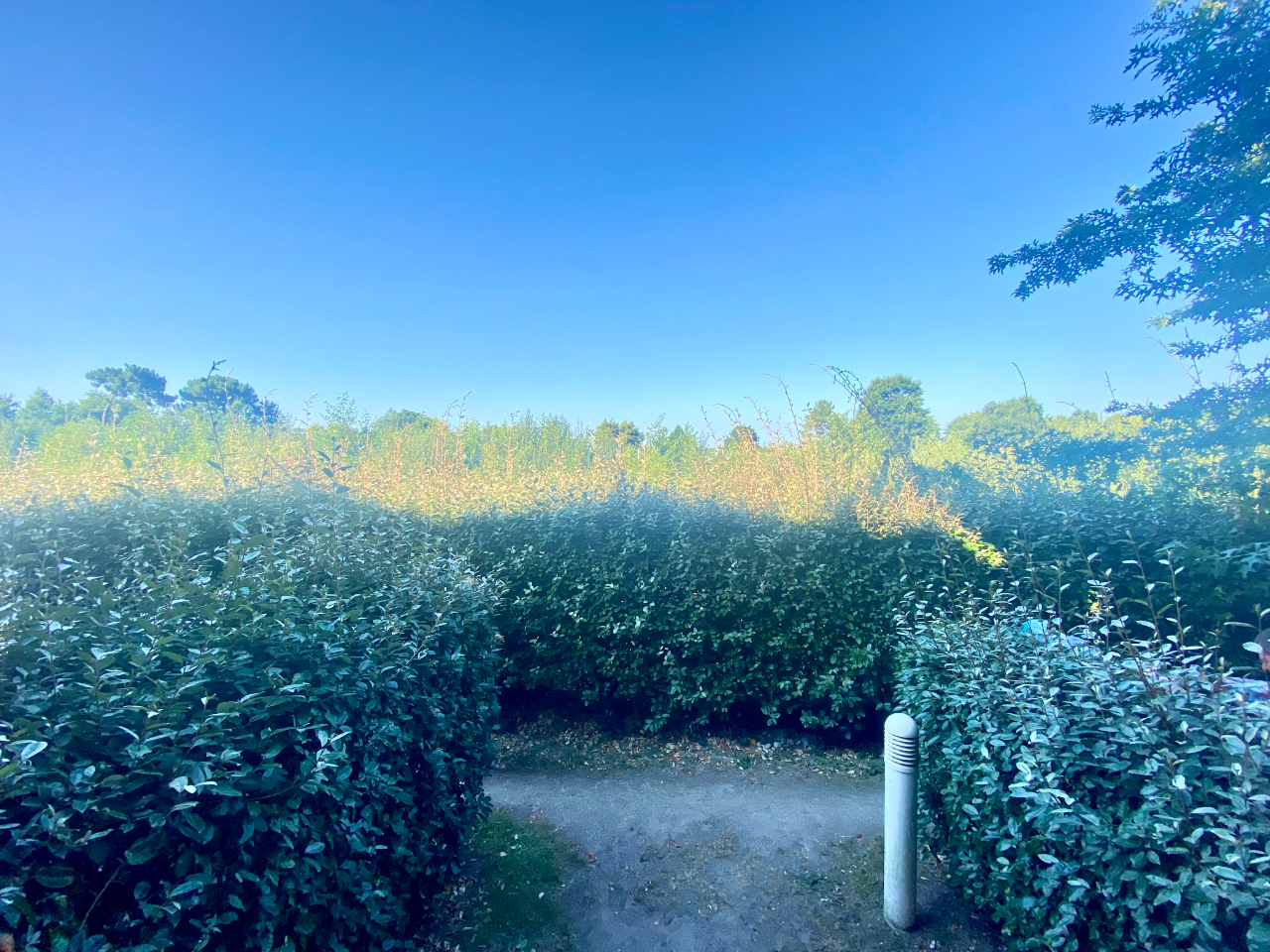 Photo Appartement idéal investisseur ! 33470 LE TEICH image 4/5