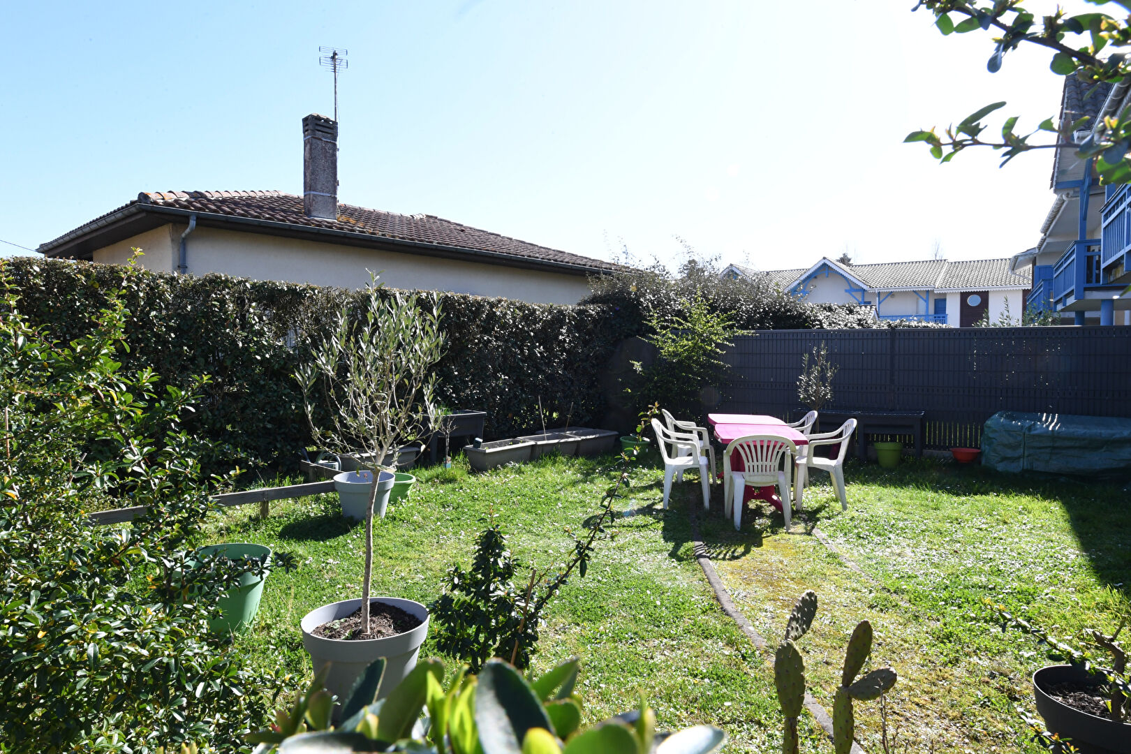 Photo Appartement La Teste De Buch 3 pièce(s) image 4/6