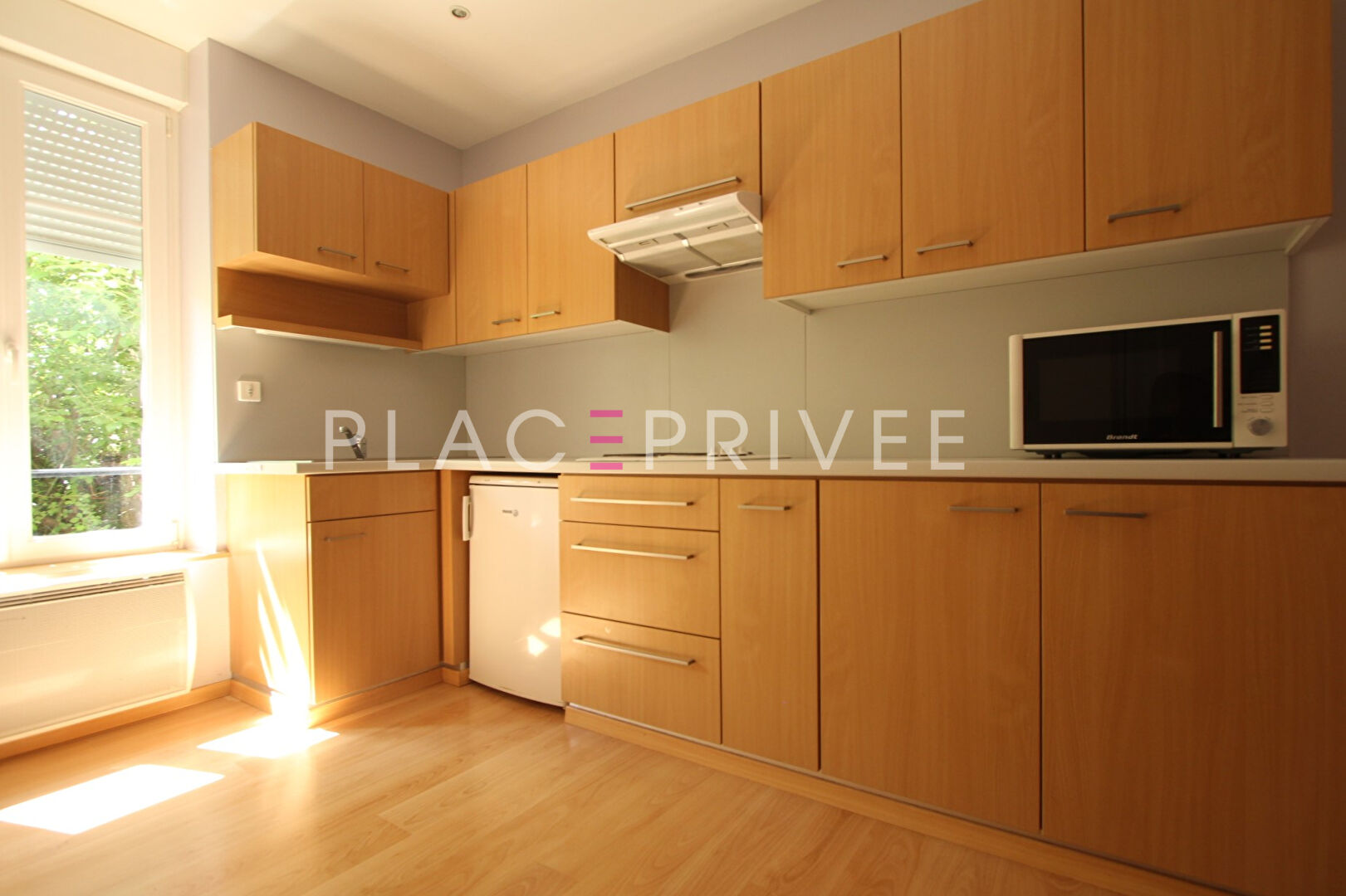 Agence immobilière de PLACE PRIVÉE - Place des Vosges