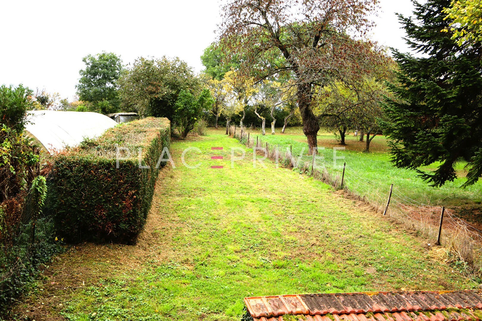 Photo Appartement image 5/6