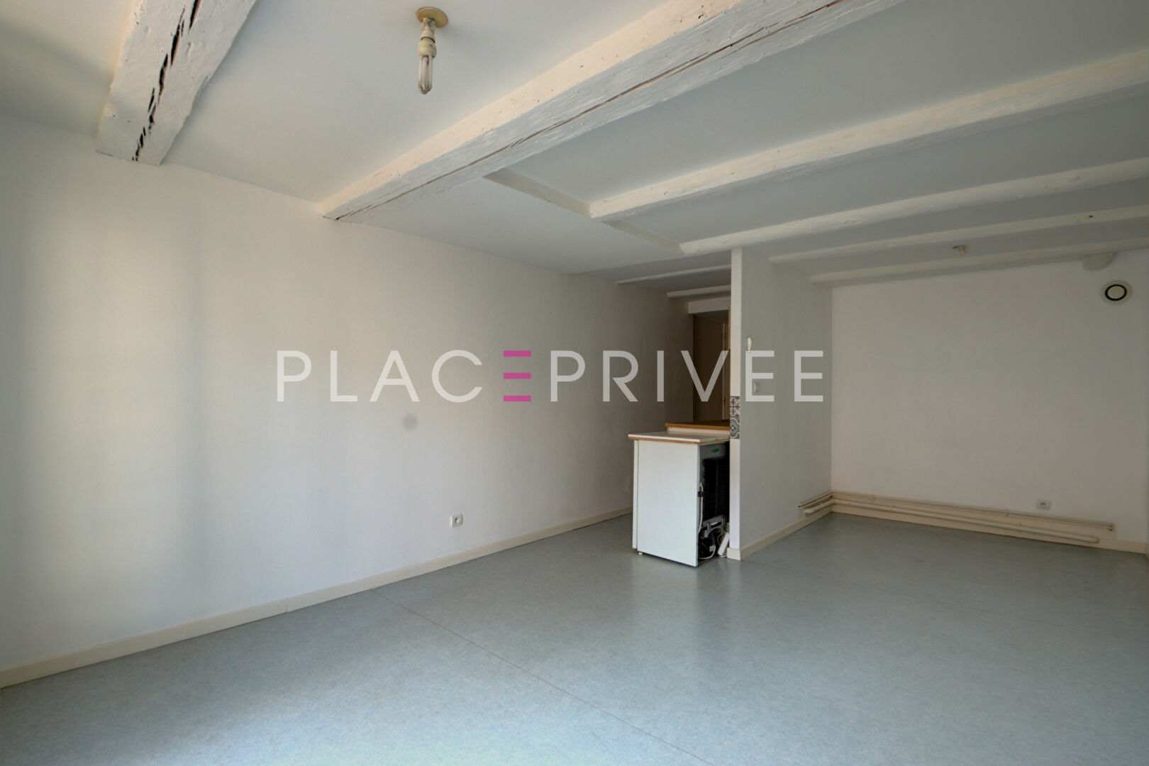 Agence immobilière de PLACE PRIVÉE - Place des Vosges