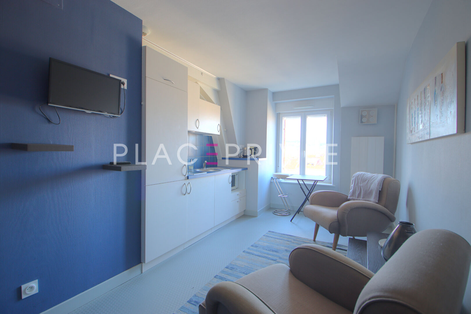 Agence immobilière de PLACE PRIVÉE - Place des Vosges
