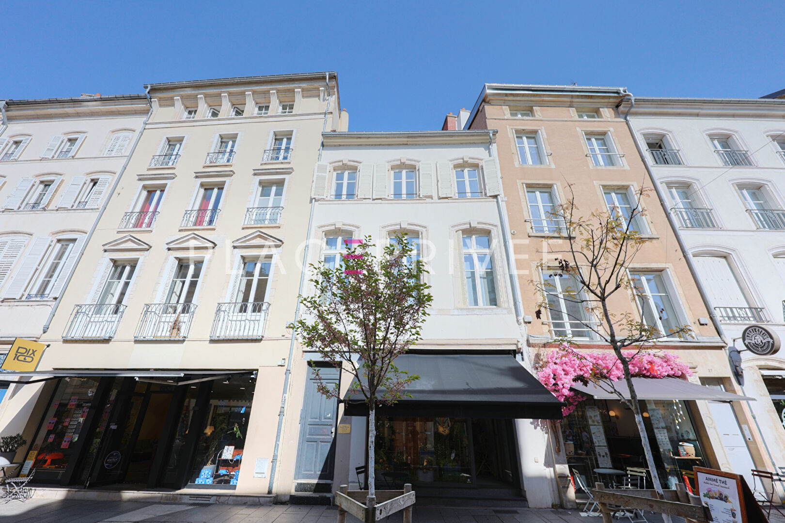 Agence immobilière de PLACE PRIVÉE - Place des Vosges