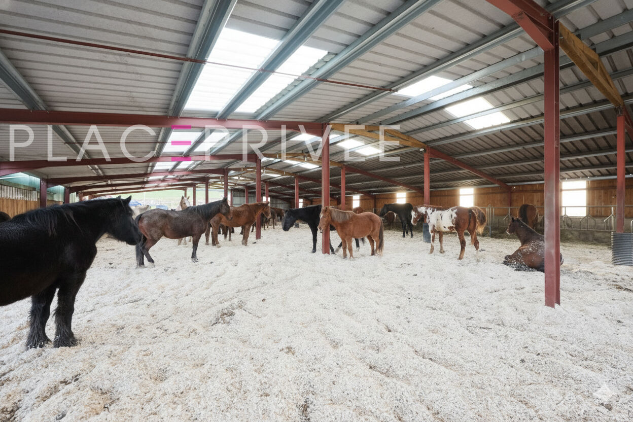 Domaine équestre d'exception