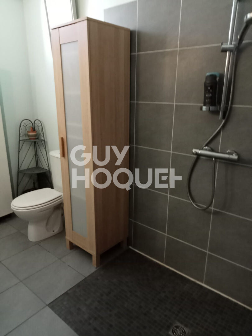 Maison  de ville en pierre  - Terrasse plein Sud