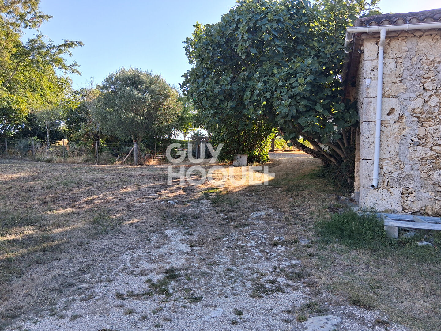 Maison en Pierres dans un bel environnement sur 4  hectares