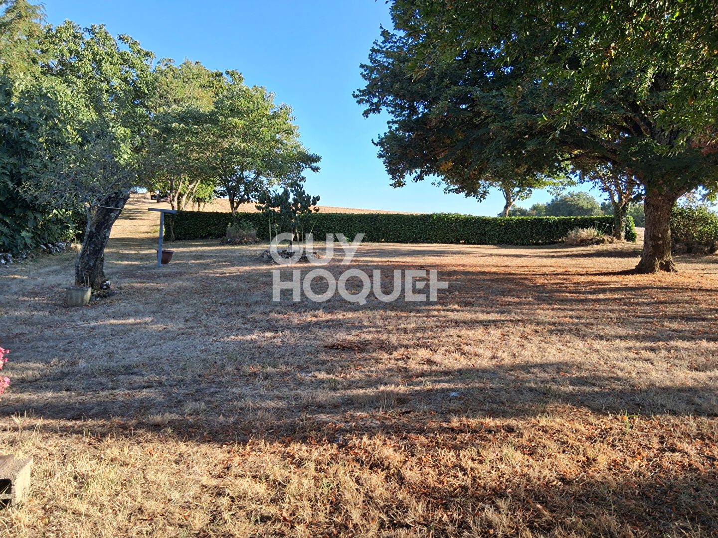 Maison en Pierres dans un bel environnement sur 4  hectares