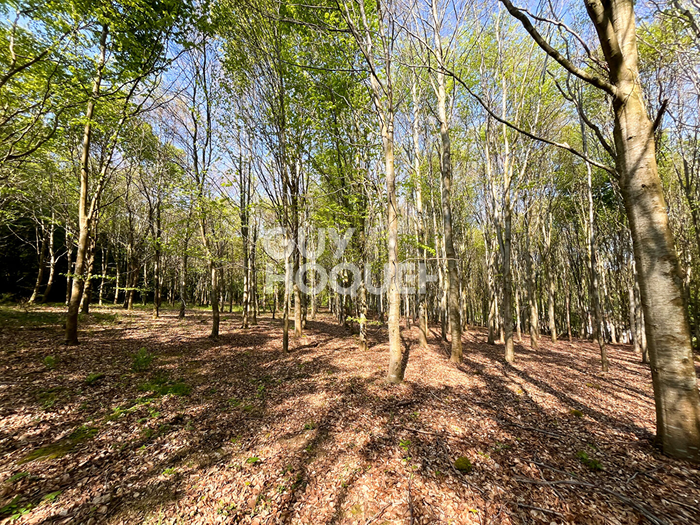 Domaine de caractère en pierre - SUISSE NORMANDE