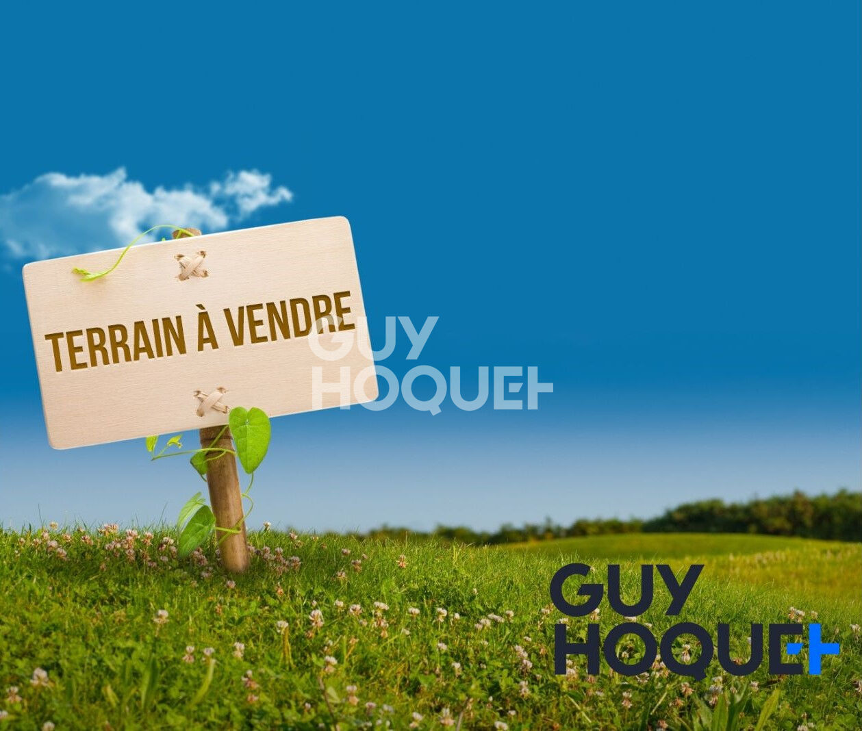 Terrain Bonnemaison 3630 m²