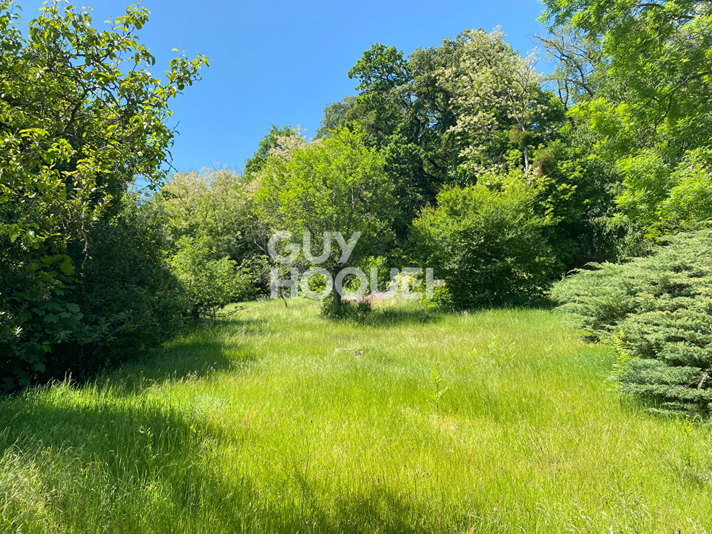 Grande maison traditionnelle en lisière de forêt