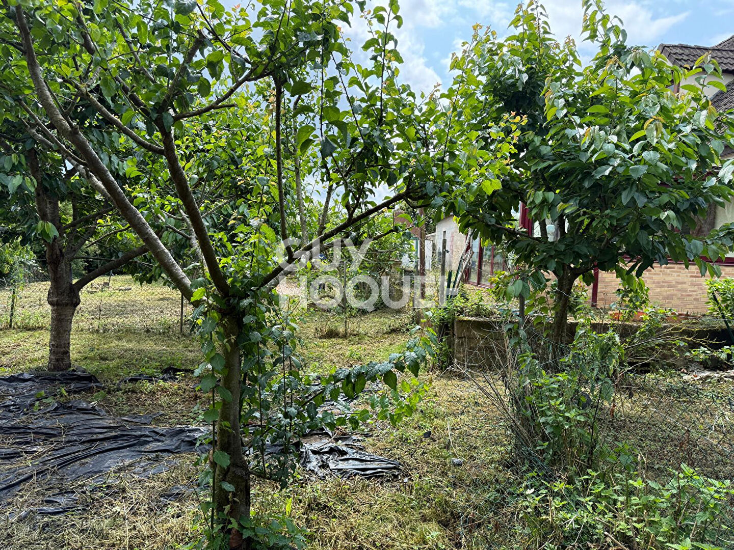 Maison à fort potentiel à Marqueglise