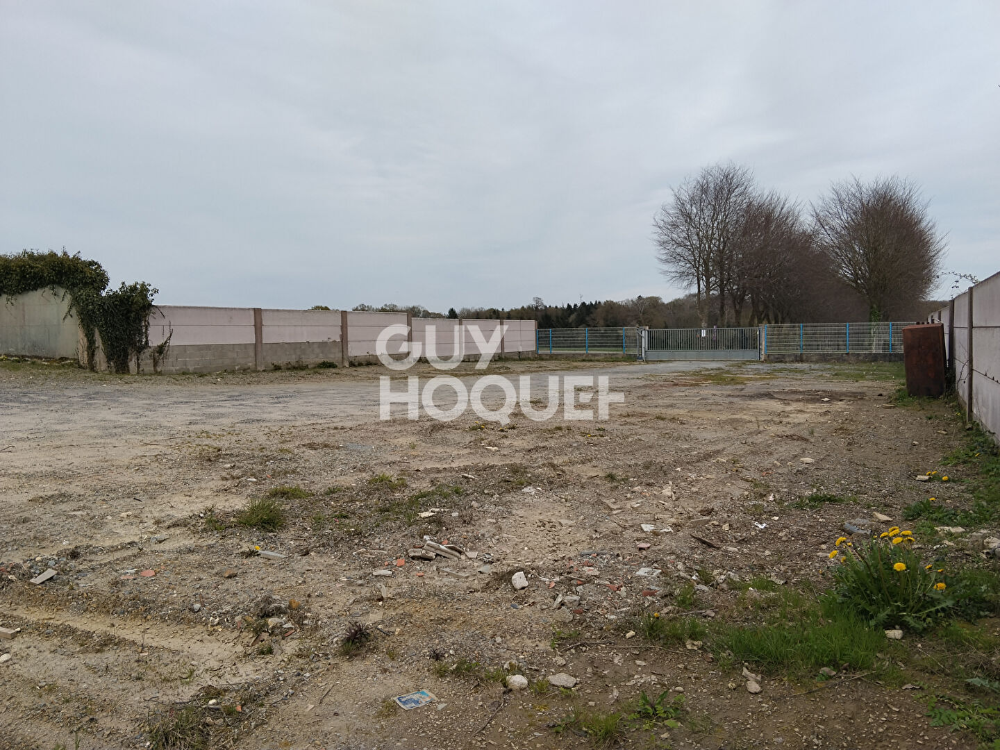 Entrepôt / local industriel  250 m2