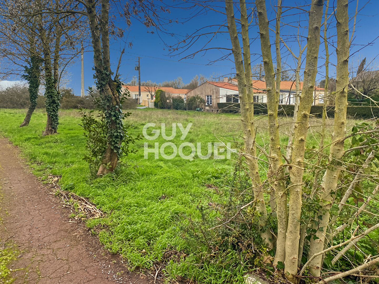 Terrain à vendre à Loiré de Vérines - 500 m² constructibles, non viabilisé et hors lotissement.