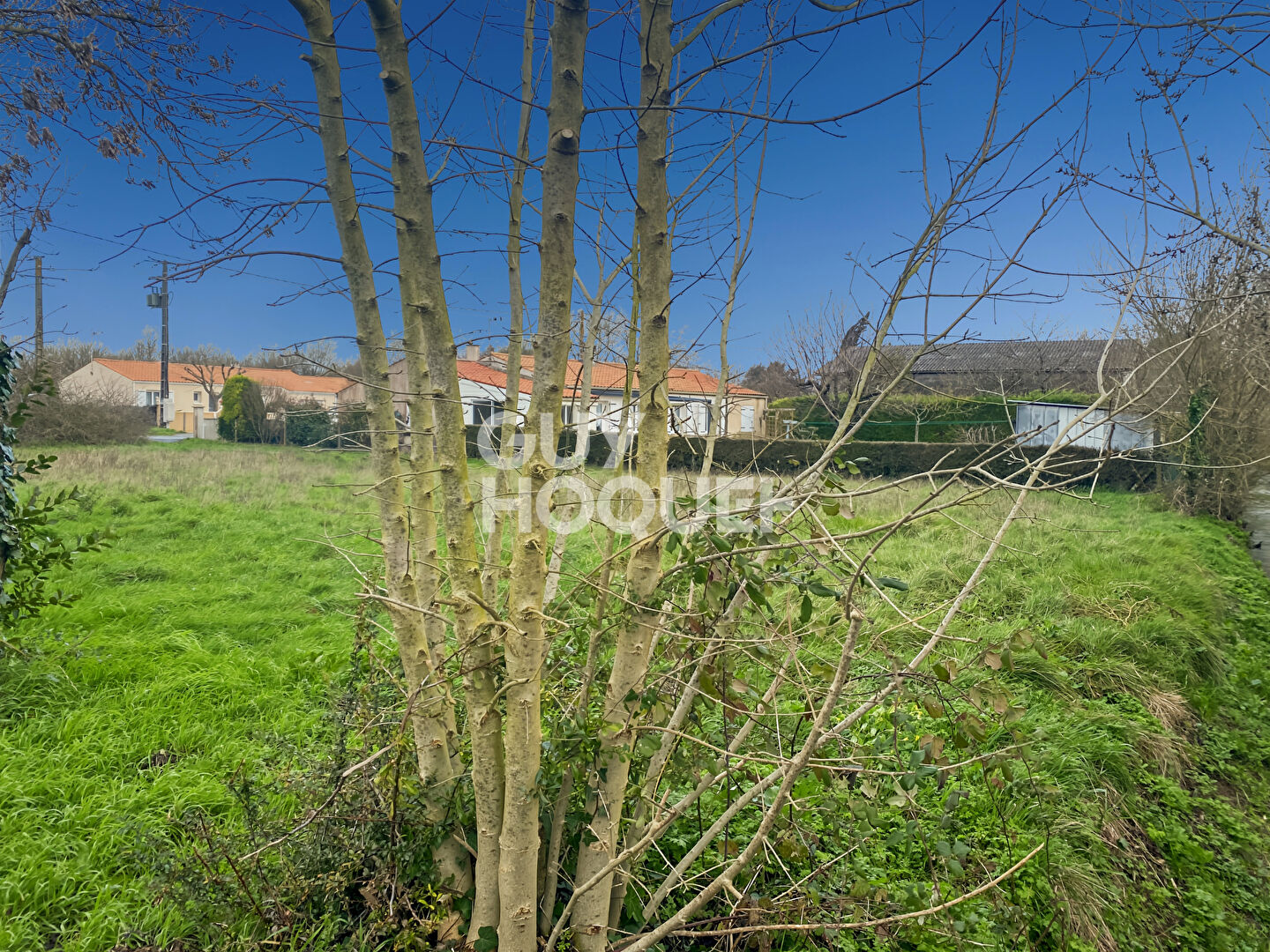 Terrain à vendre à Loiré de Vérines - 500 m² constructibles, non viabilisé et hors lotissement.