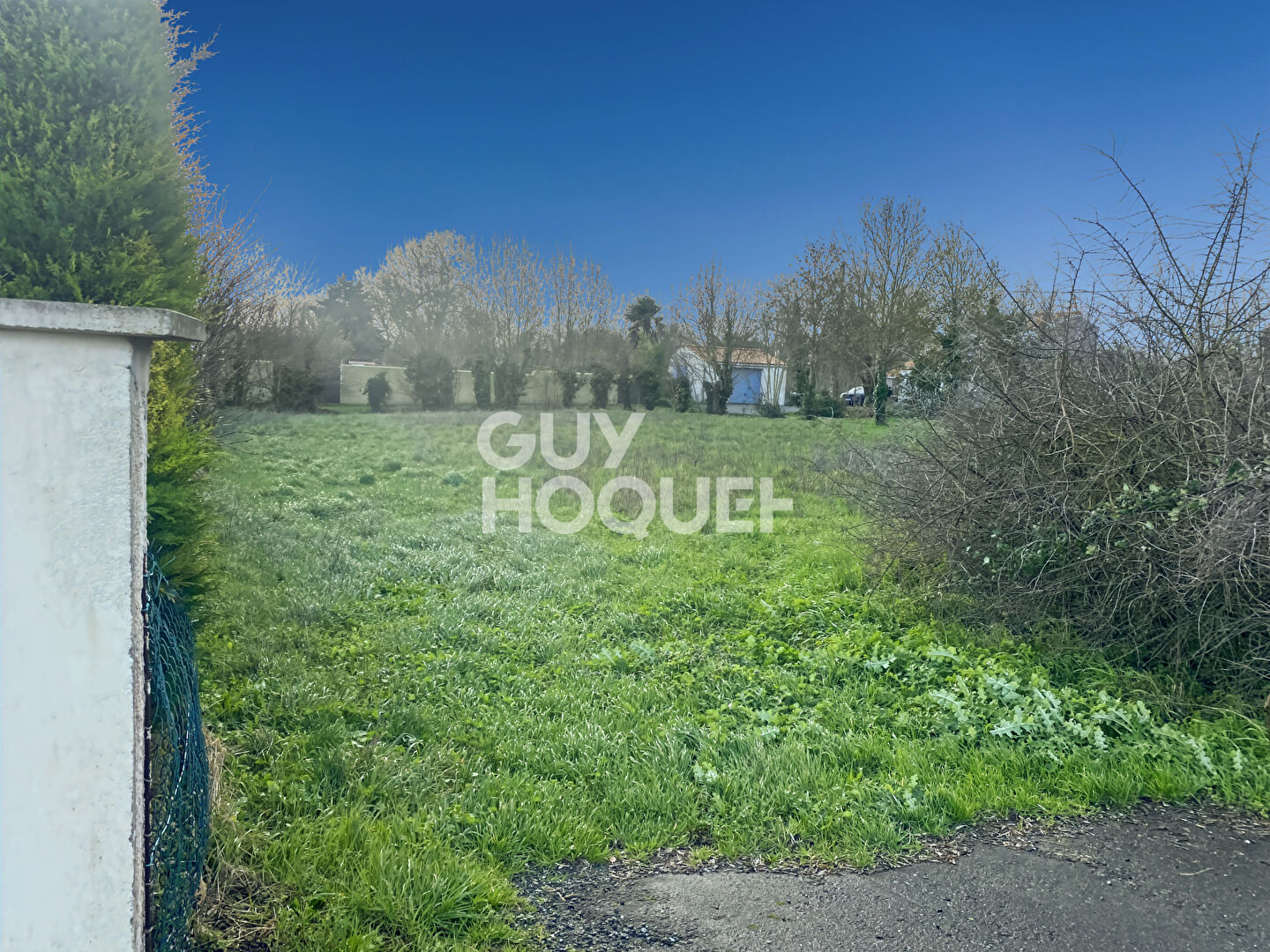 Terrain à vendre à Loiré de Vérines - 500 m² constructibles, non viabilisé et hors lotissement.