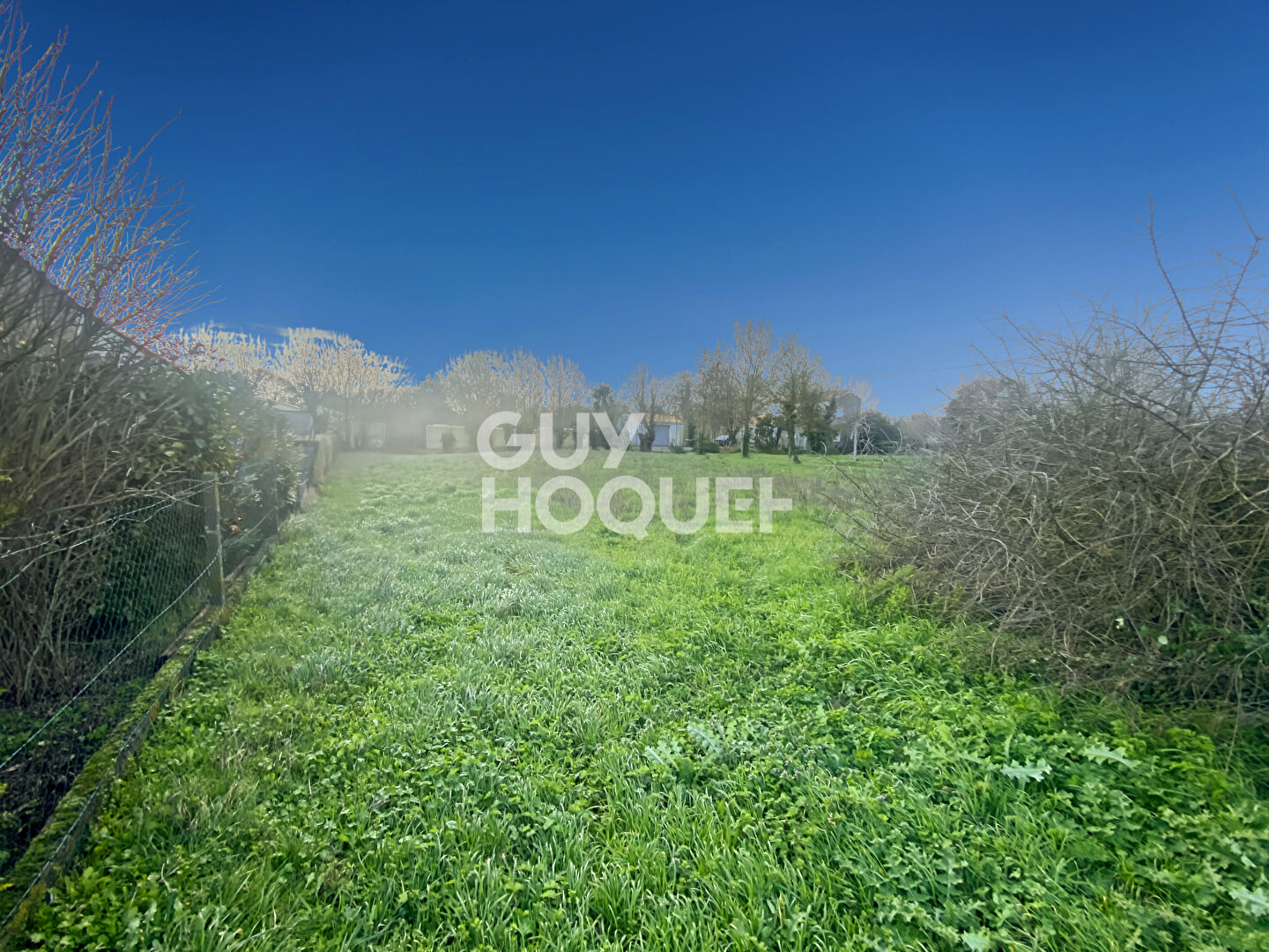 Terrain à vendre à Loiré de Vérines - 500 m² constructibles, non viabilisé et hors lotissement.