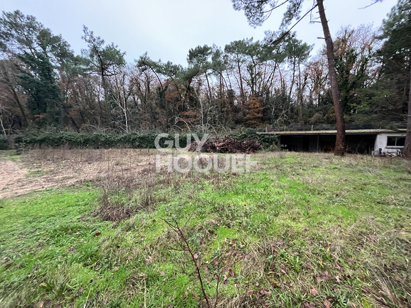 Terrain RONCE-LES-BAINS - 1575 m2