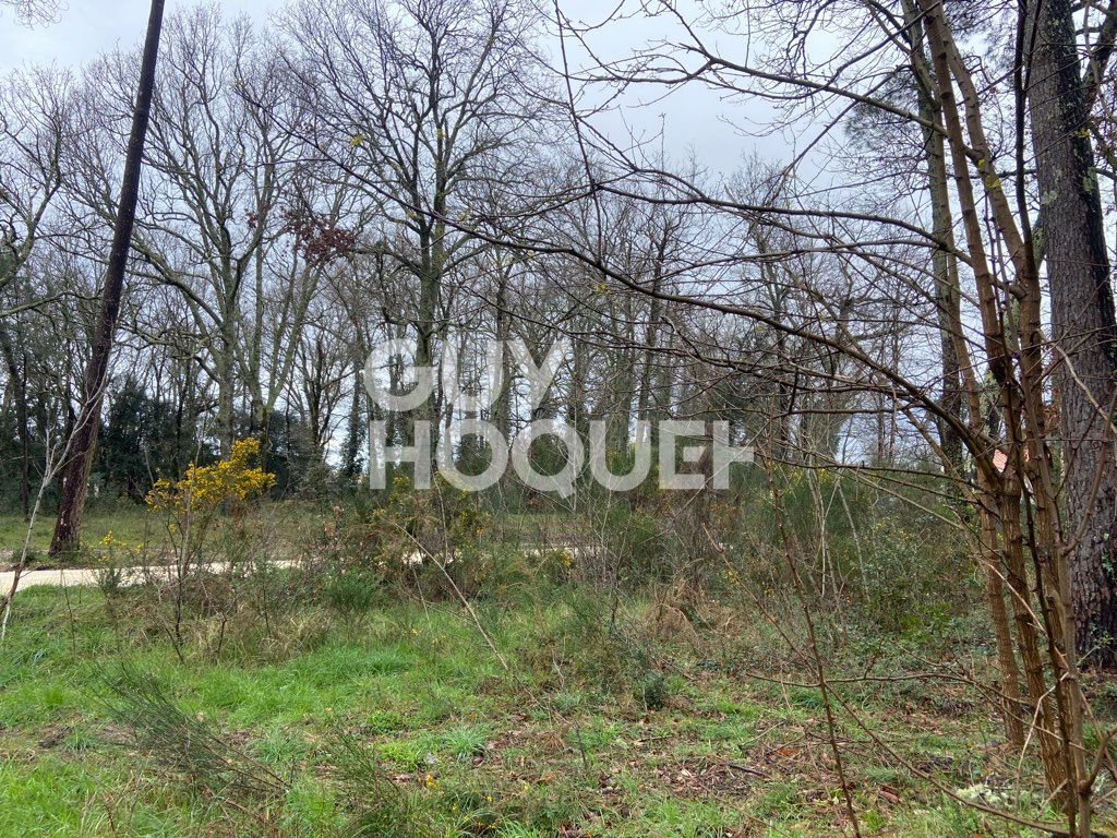 Terrain Les Mathes 764 m2