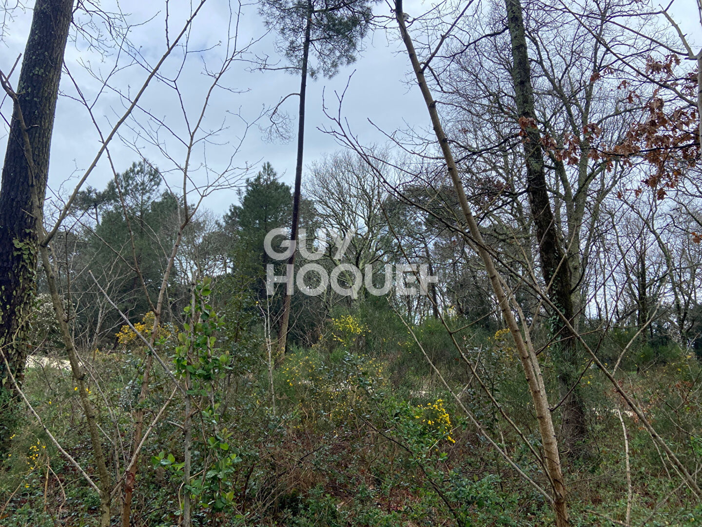 Terrain Les Mathes 764 m2
