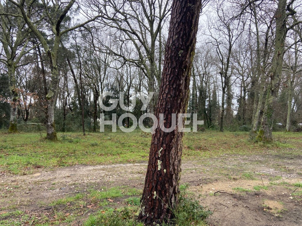 Terrain Les Mathes 764 m2