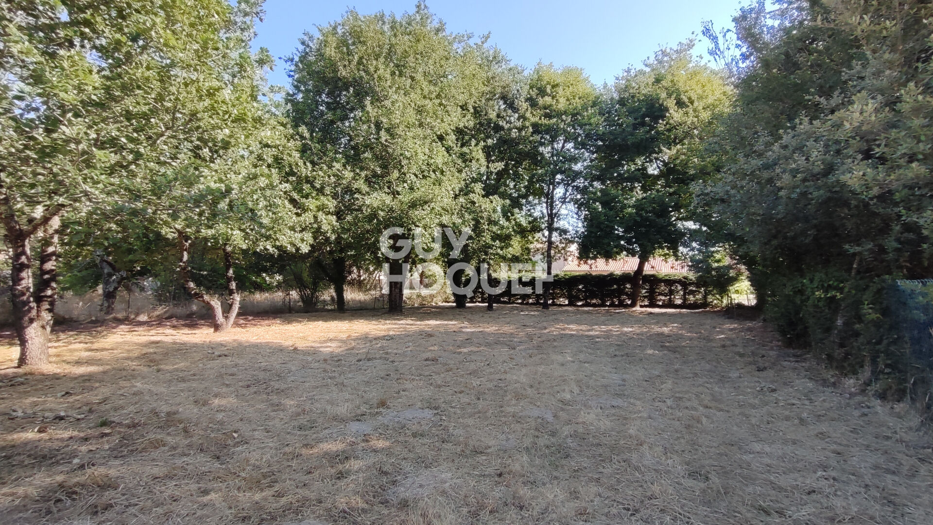 Terrain quartier boisé de La Tremblade