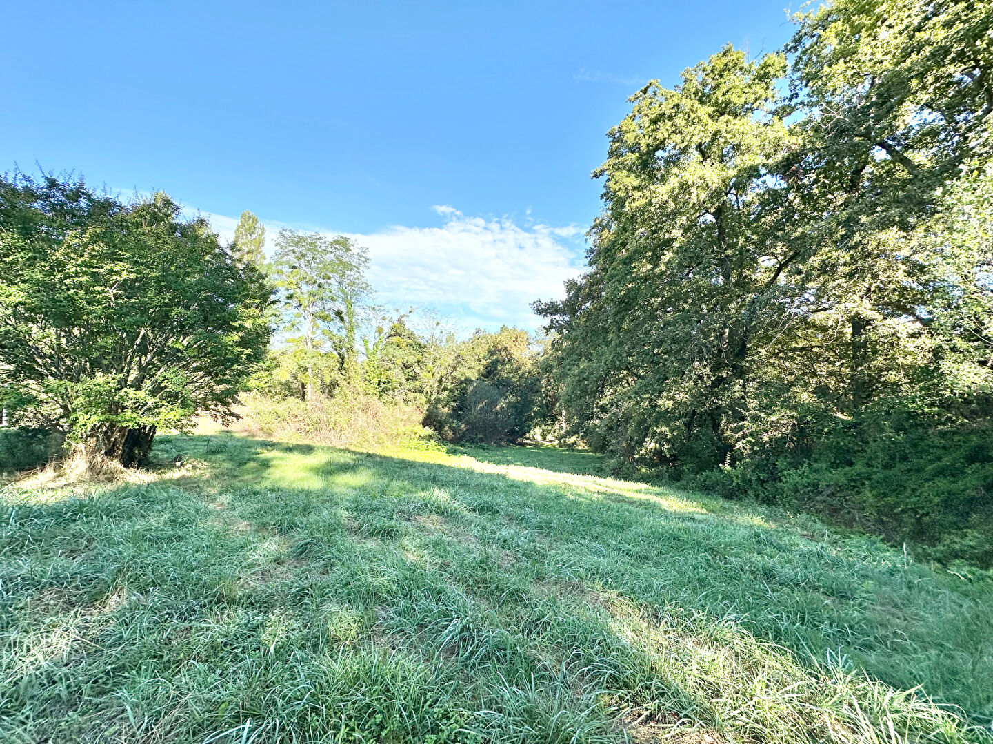 Maison de 147 m² sur Orthez avec un hectare de terrain