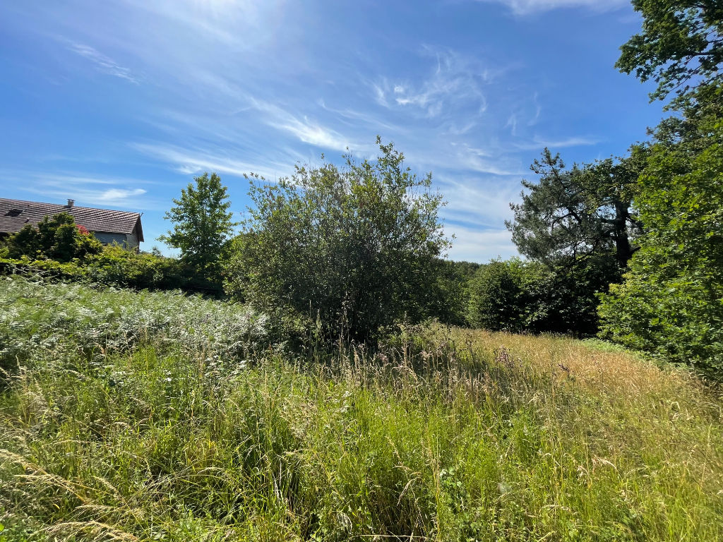 Terrain non constructible Arthez De Bearn 5744 m²