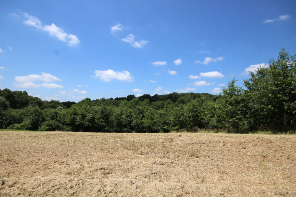 Terrain viabilisé proche d'Orthez 2204 m²
