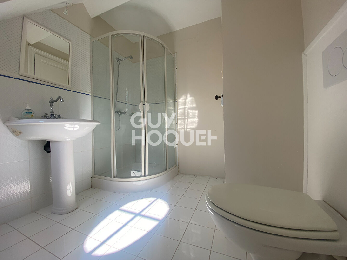 Chateau proche ORTHEZ