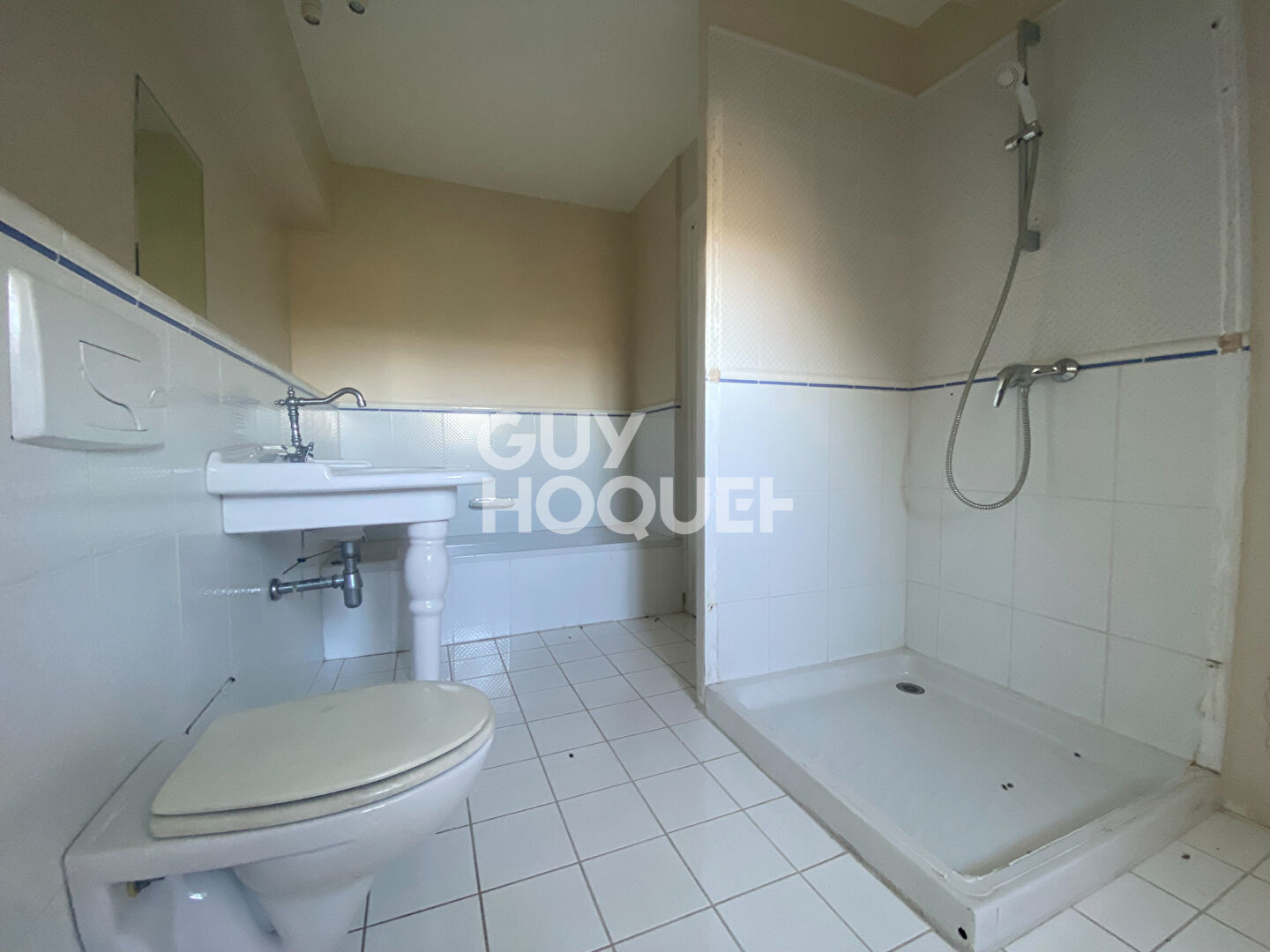 Chateau proche ORTHEZ