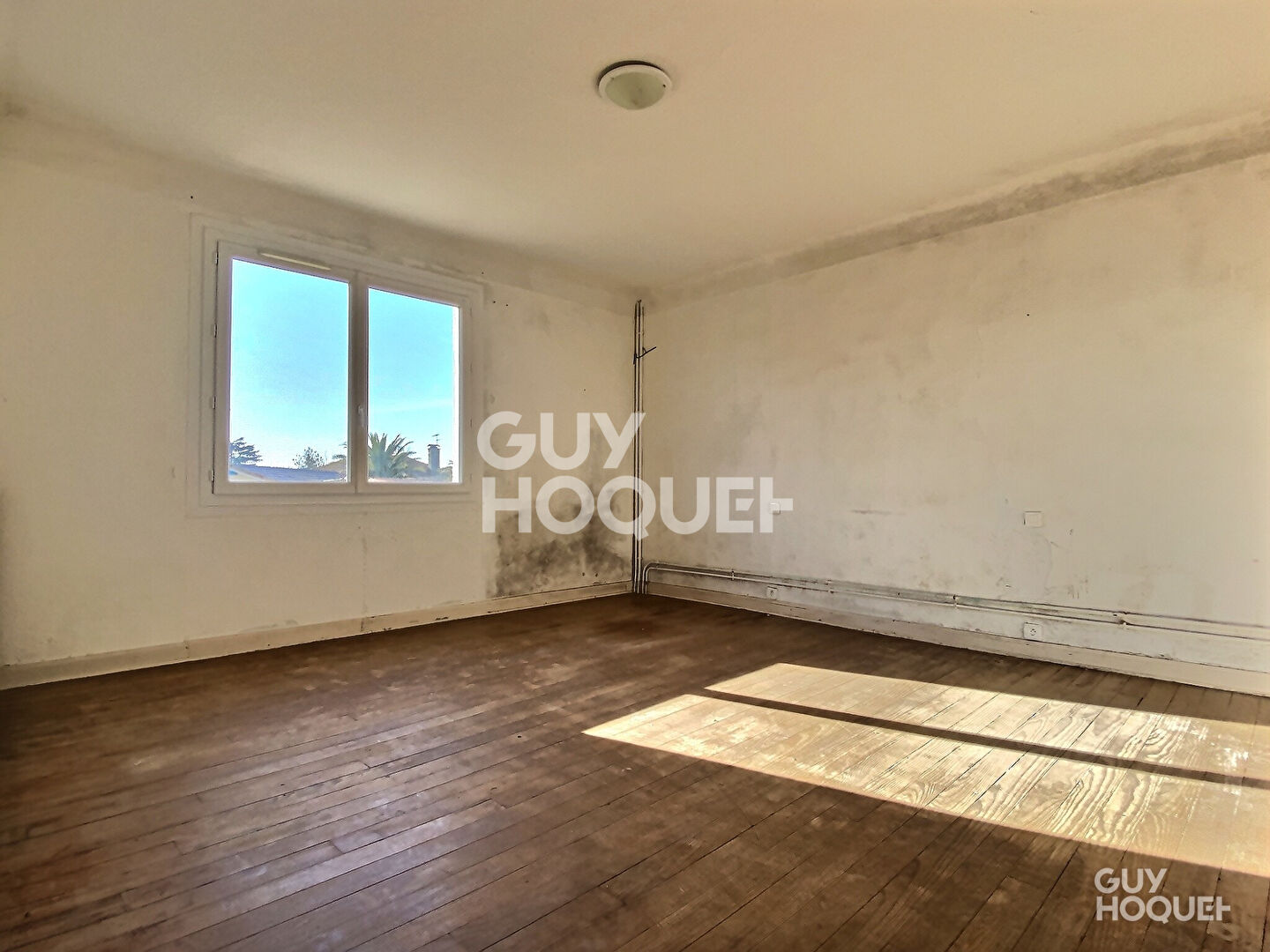 Ensemble immobilier proche d'Amou