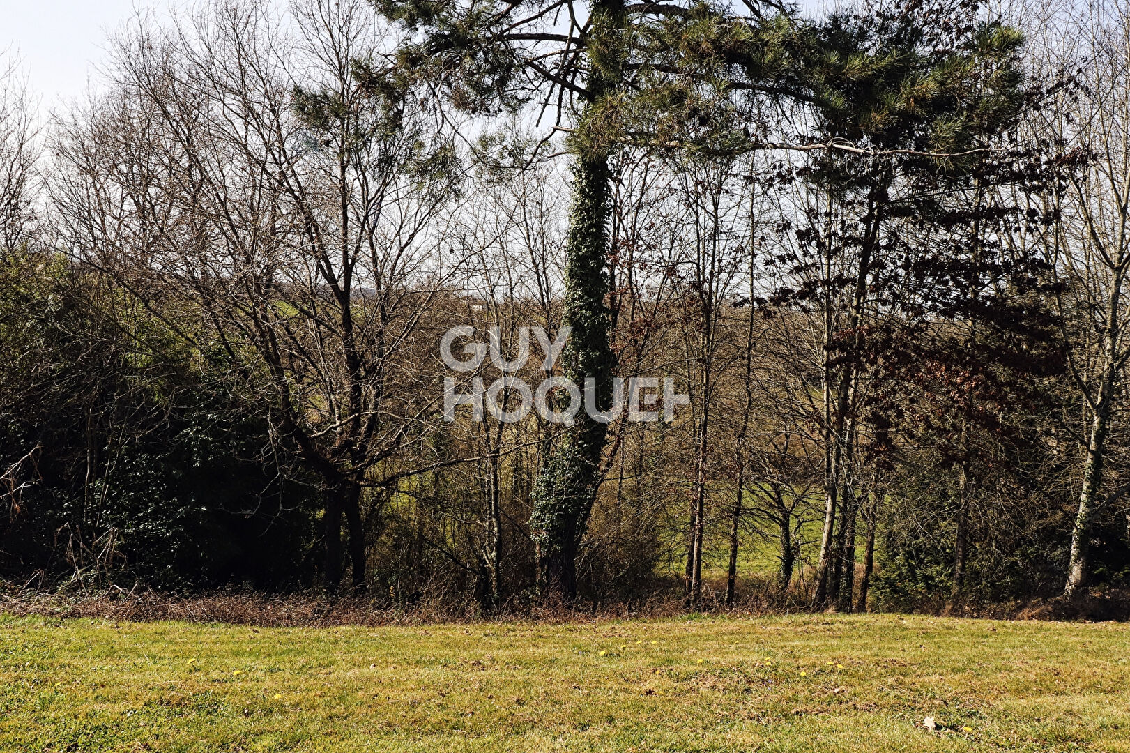 Terrain constructible de 2000 m² avec partie boisée