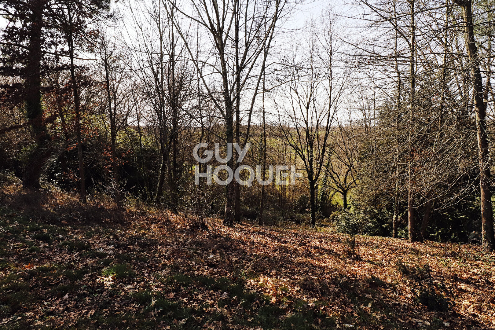 Terrain constructible de 2000 m² avec partie boisée