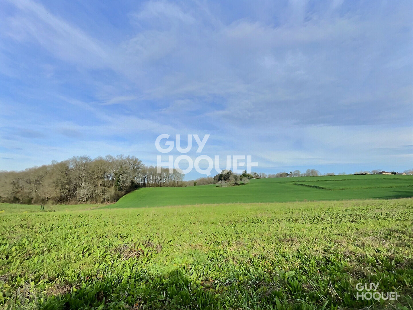 Superbe terrain plat 3741 m2 avec vue dégagée à Sainte Colombe