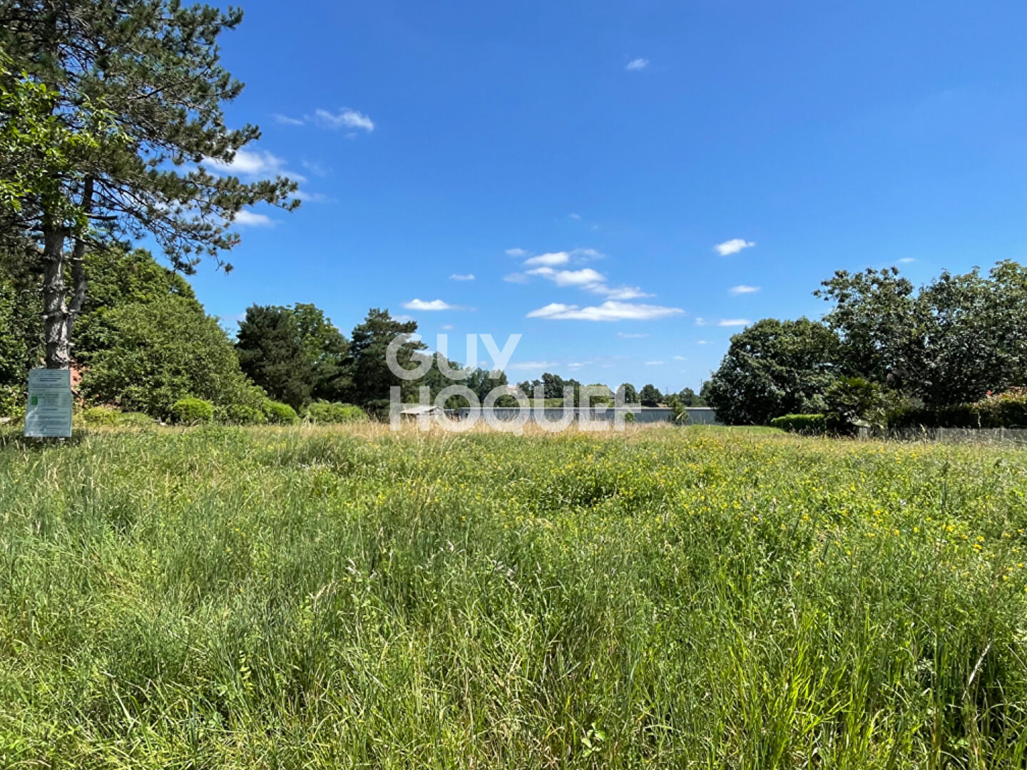 Terrain Orthez 1910 m² vue PYRENEES