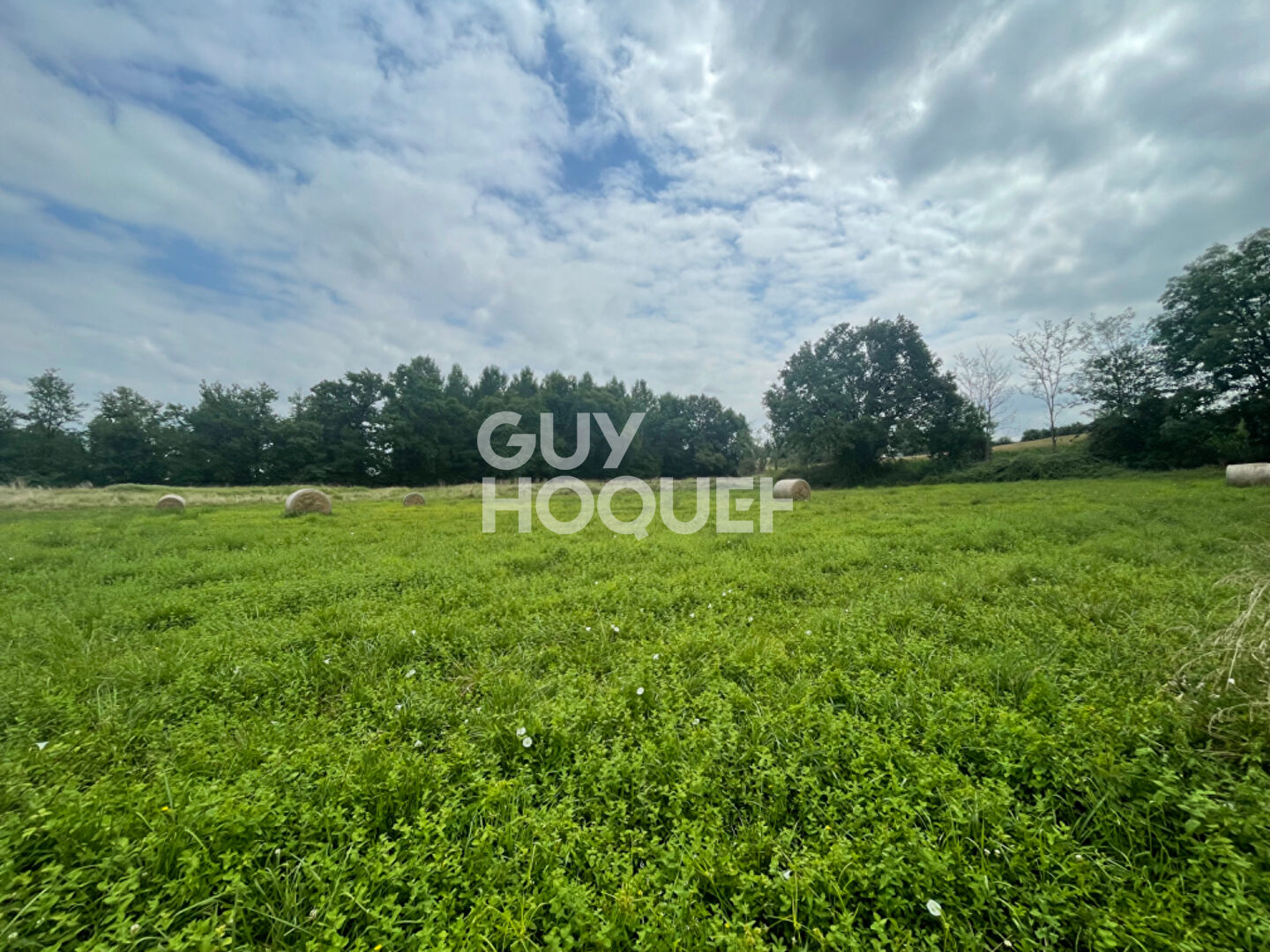 Maison familiale sur Pomarez