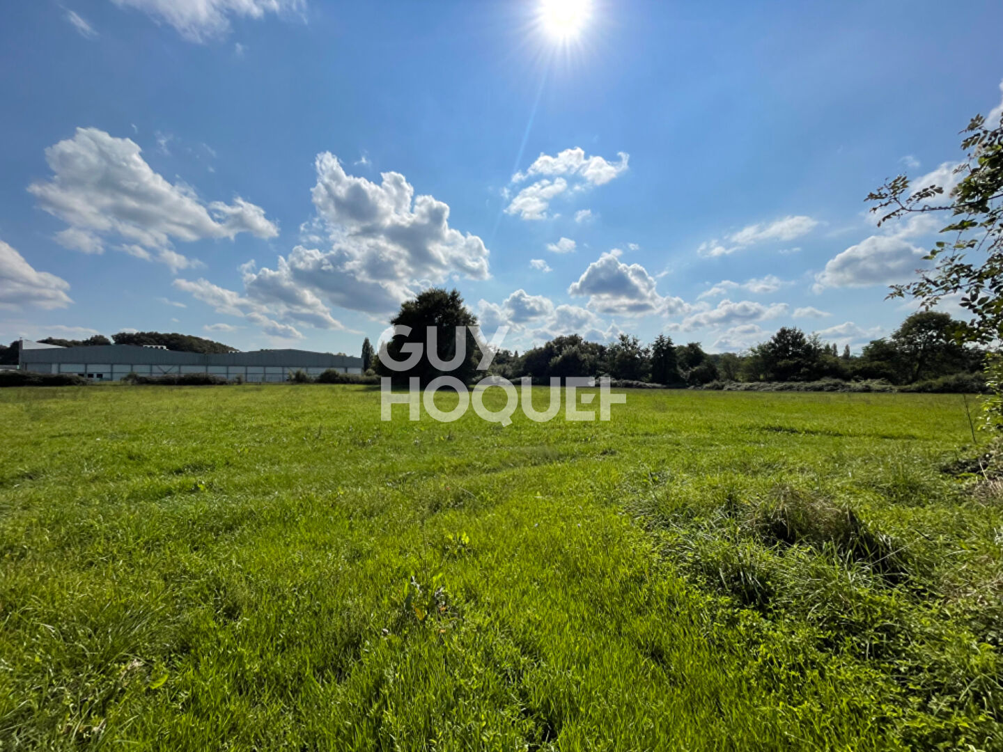 Terrain en zone commerciale et agricole avec hangar de 375m²