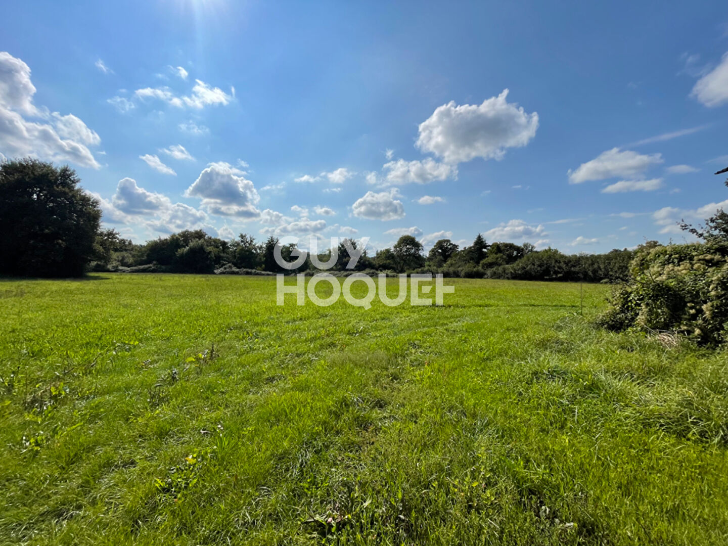 Terrain en zone commerciale et agricole avec hangar de 375m²