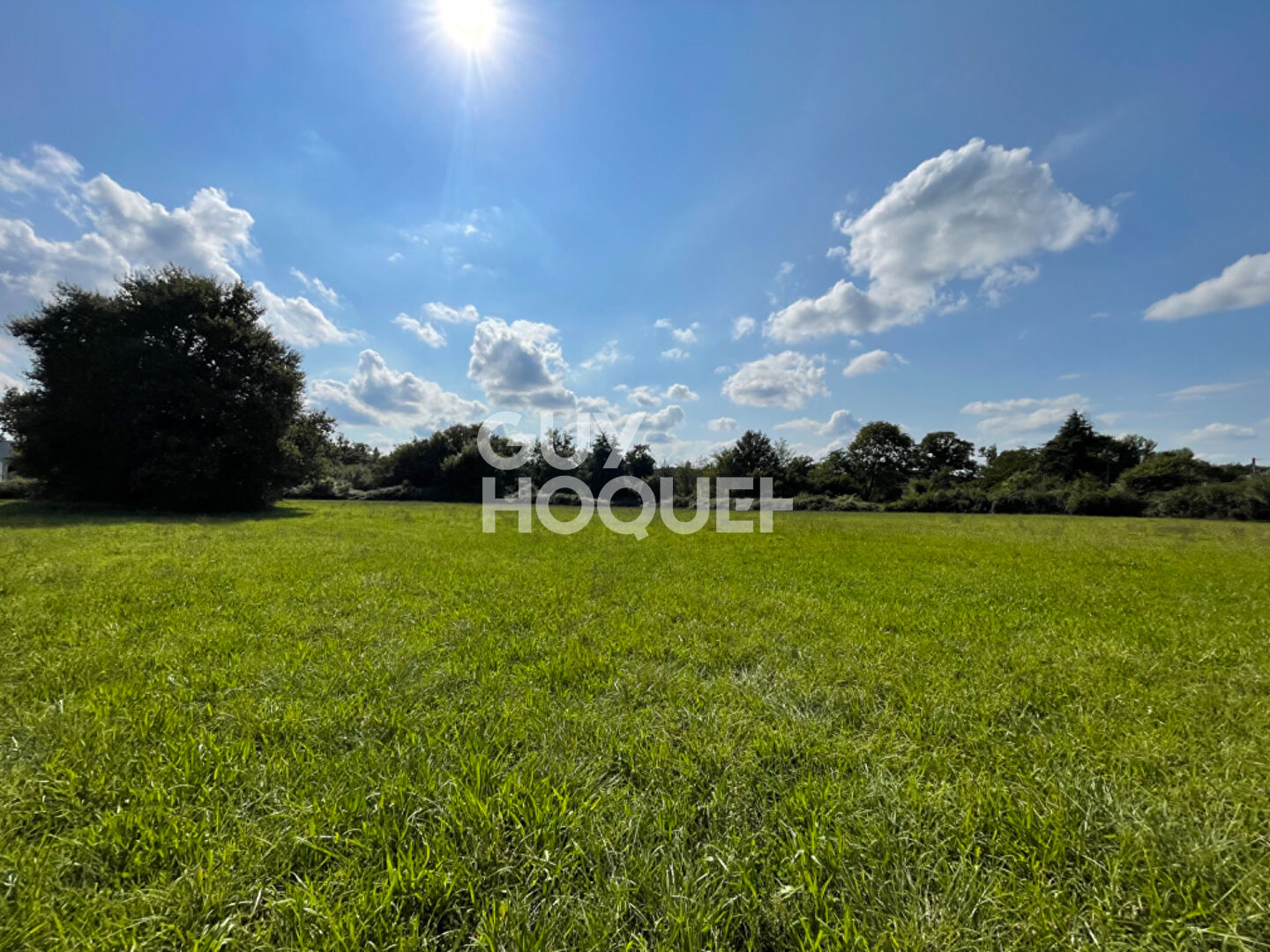 Terrain en zone commerciale et agricole avec hangar de 375m²