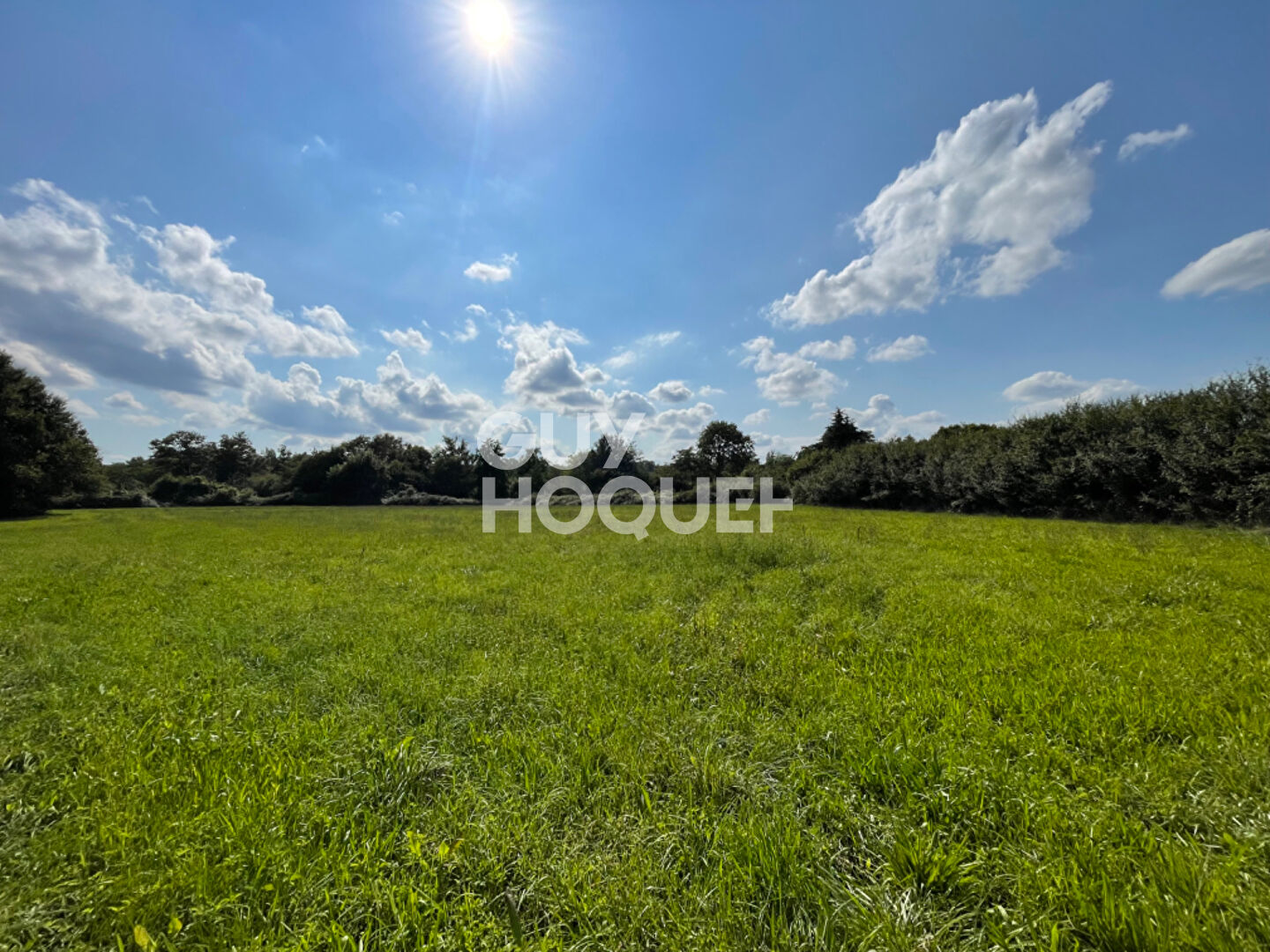 Terrain en zone commerciale et agricole avec hangar de 375m²