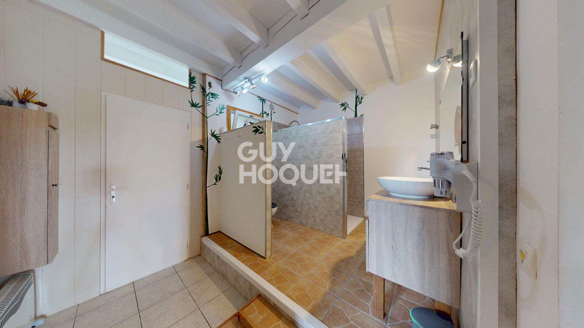 Maison de caractère 288 m² avec dépendance et sans voisins