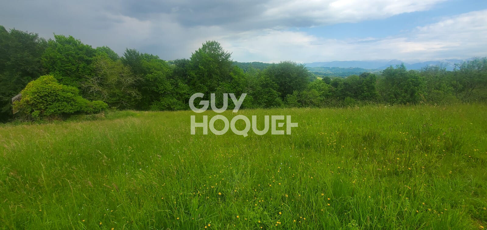 Maison à Rénover - Vue Pyrénées + 1,7 ha de Terrain !