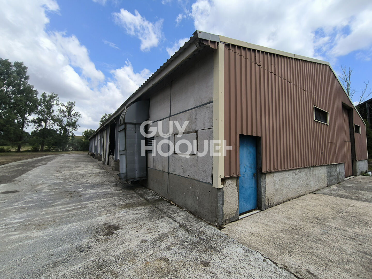 hangar et terrain à vendre à Amou - Référence 30282