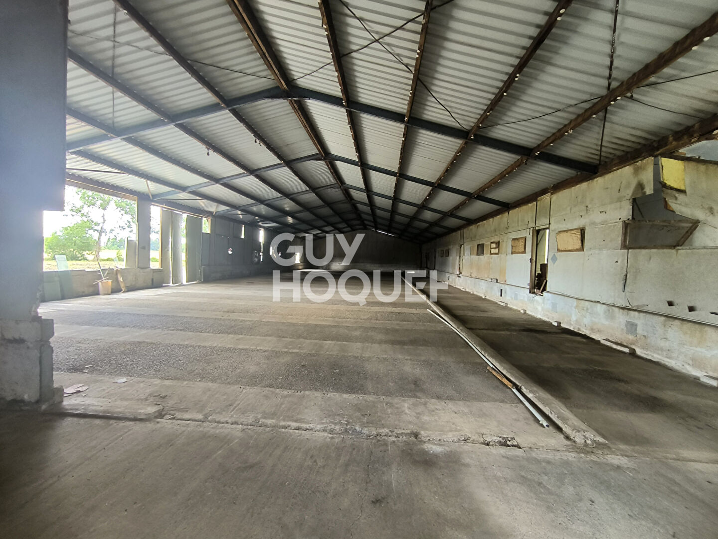 hangar et terrain à vendre à Amou - Référence 30282